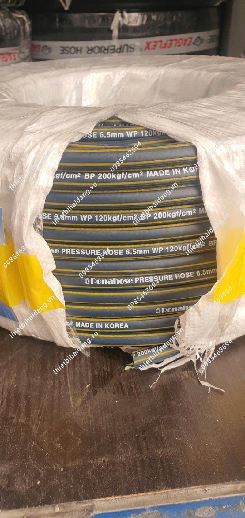 Day hoi han quoc ponahose-10