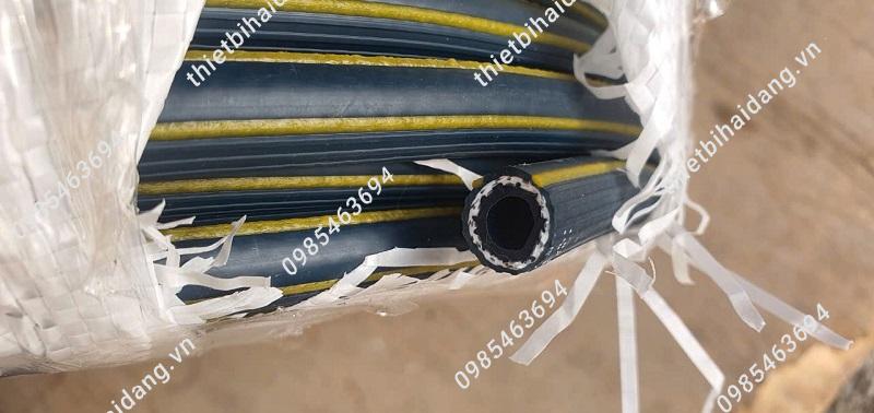 Day hoi han quoc ponahose-9