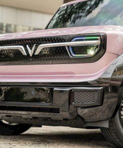 Ốc màu cho bánh xe vf3