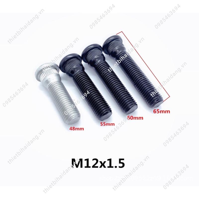 bulong mam xe ford (3)