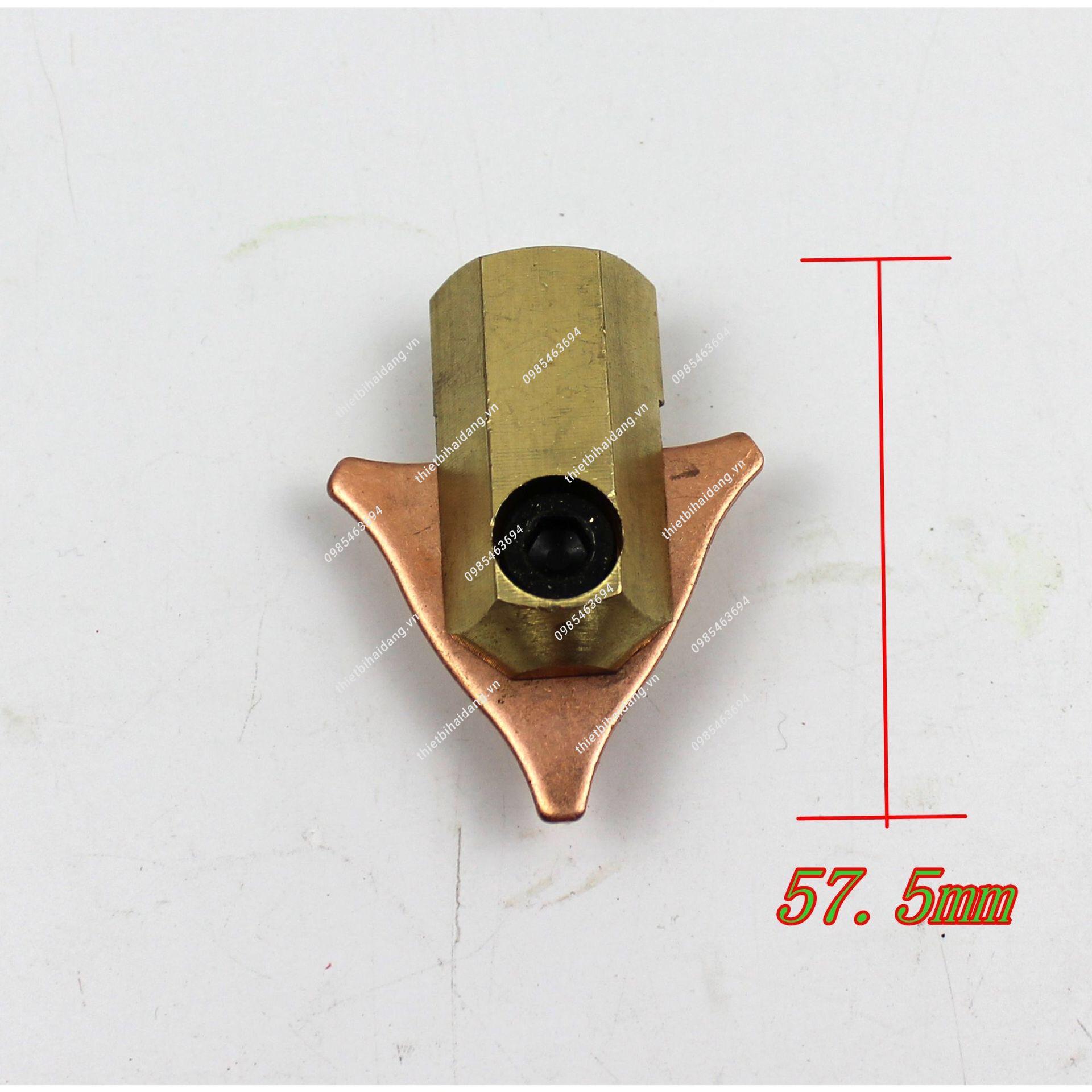 đầu đồng búa giật (2)